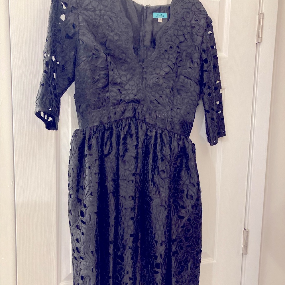 Black knee length lace lined dress.